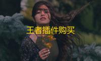 王者插件购买